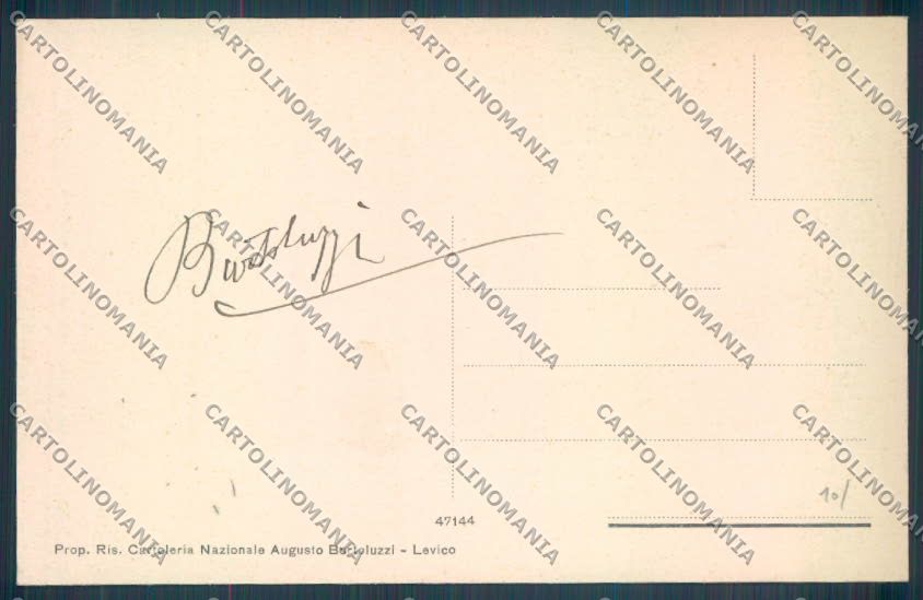 Trento Levico Terme cartolina ZB0818 – retro