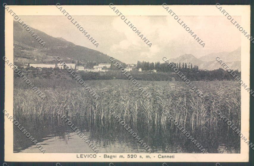 Trento Levico Terme cartolina ZB0820 – fronte