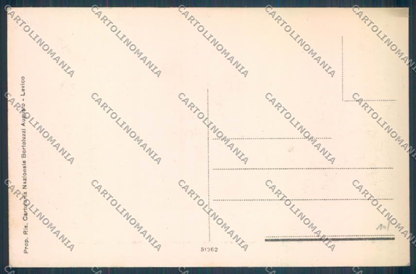 Trento Levico Terme cartolina ZB0820 – retro