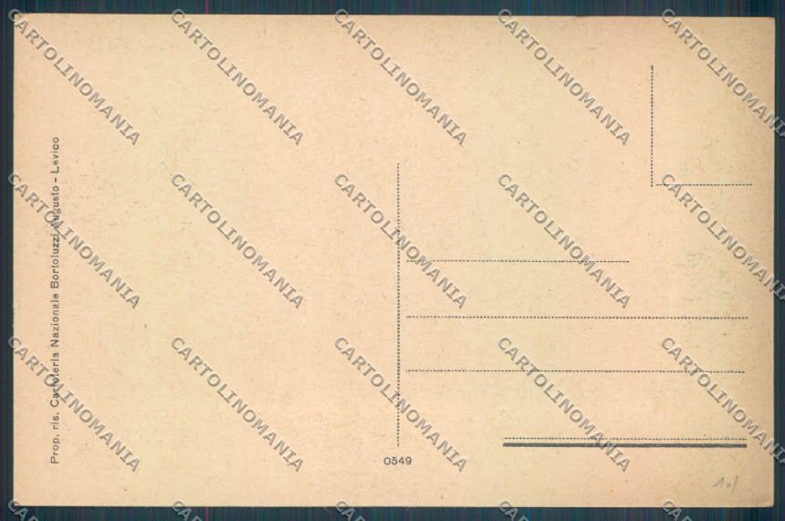 Trento Levico Terme cartolina ZB0821 – retro