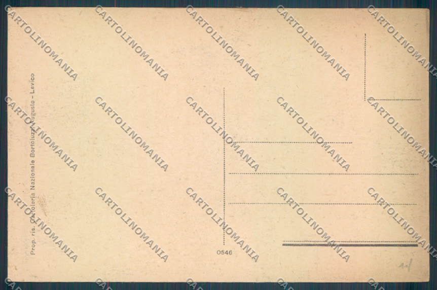 Trento Levico Terme Barca cartolina ZB0823 – retro