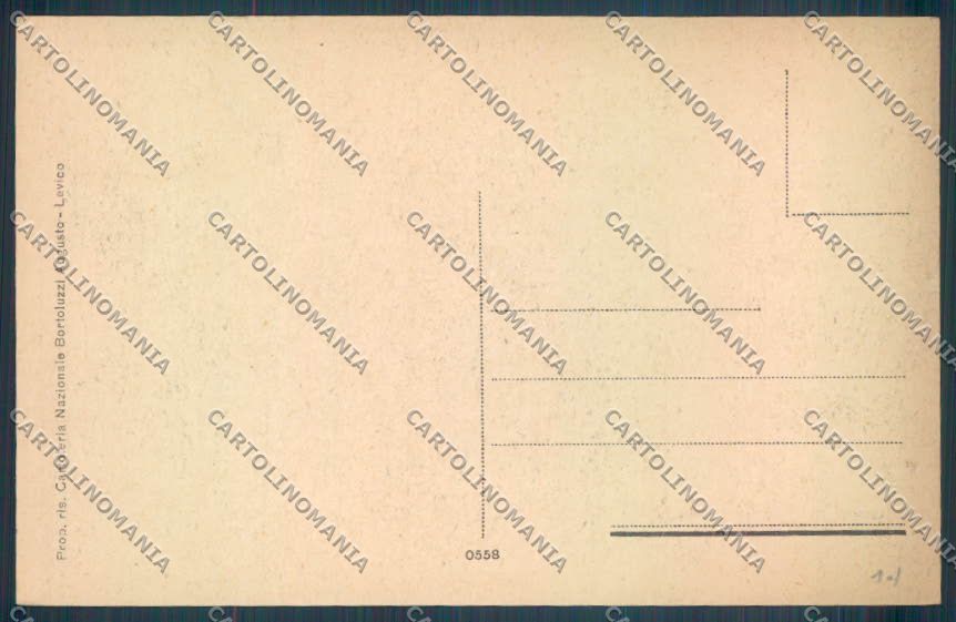 Trento Levico Terme cartolina ZB0824 – retro