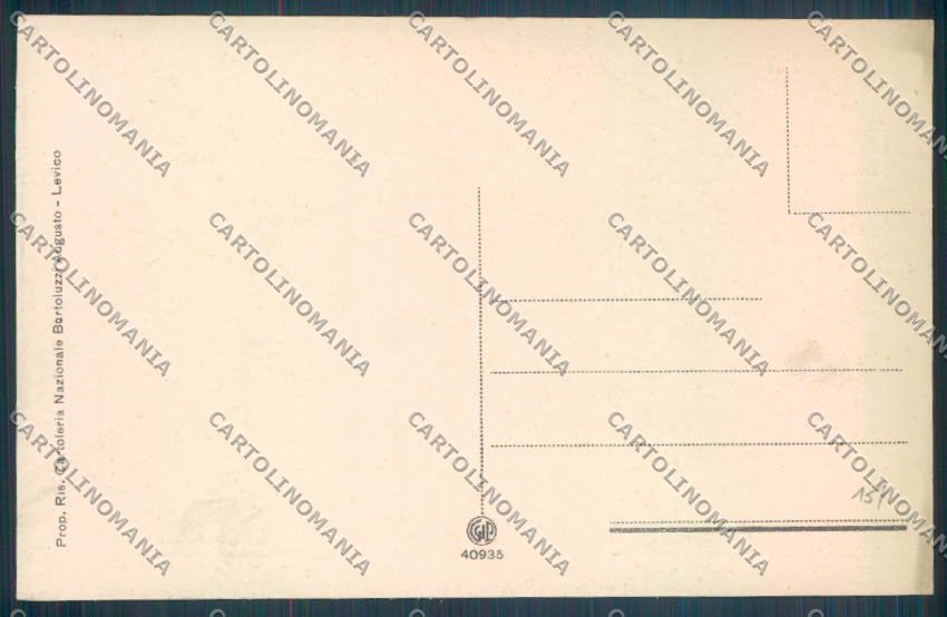 Trento Levico Terme cartolina ZB0839 – retro