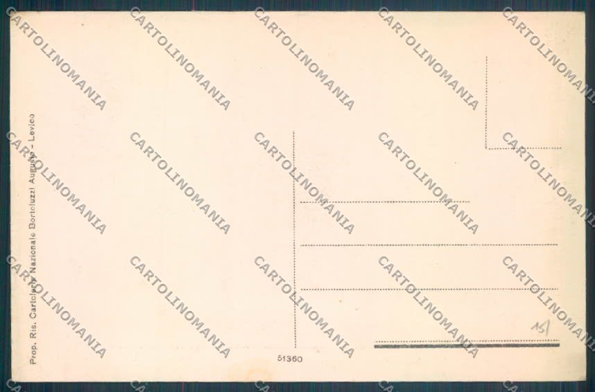 Trento Levico Terme cartolina ZB0840 – retro