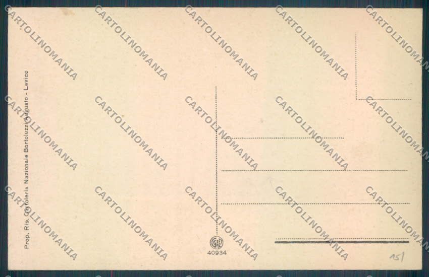 Trento Levico Terme cartolina ZB0841 – retro