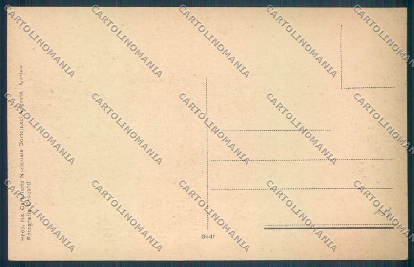 Trento Levico Terme cartolina ZB0844 – retro