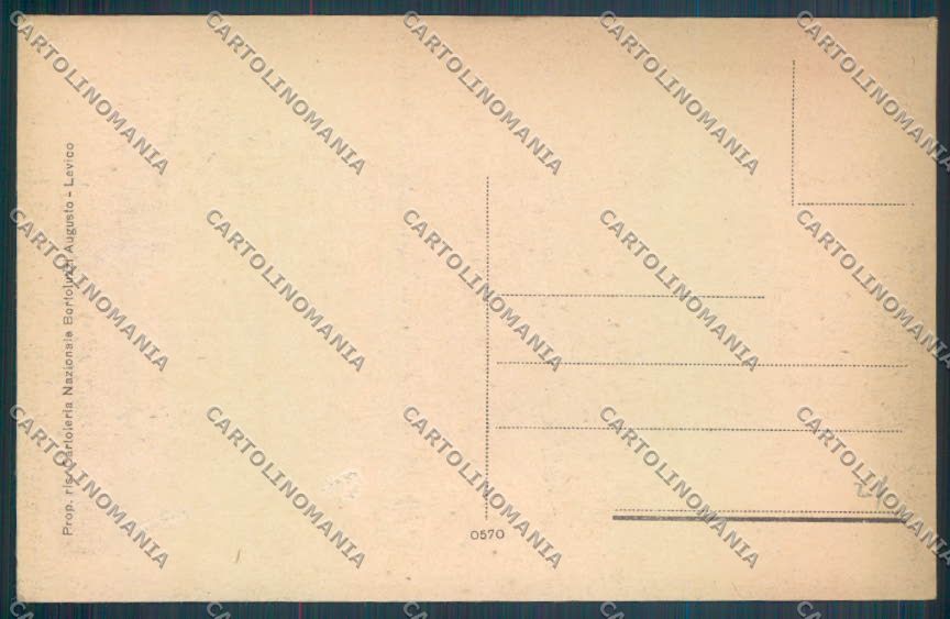 Trento Levico Terme cartolina ZB0852 – retro