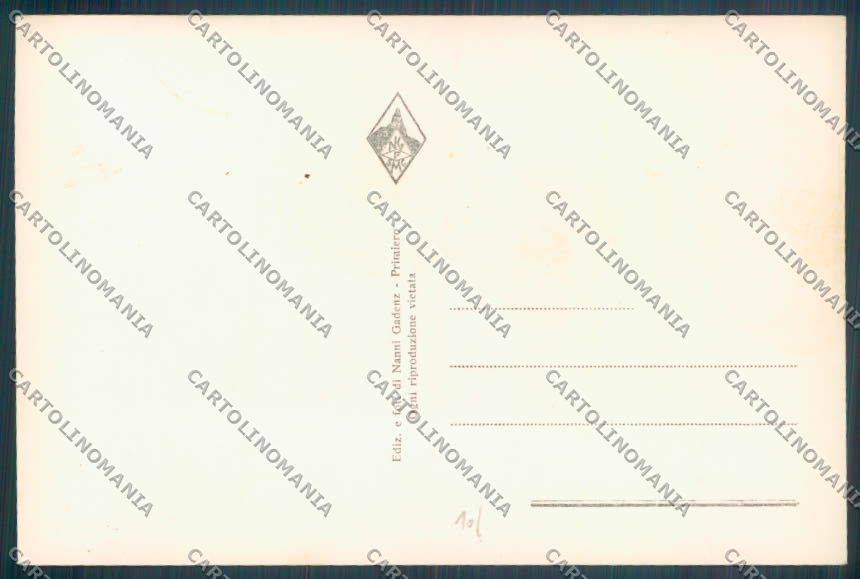Trento Passo Rolle Foto cartolina ZB0912 – retro