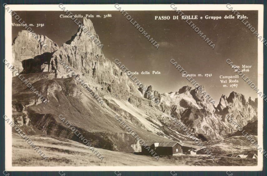 Trento Passo Rolle Foto cartolina ZB0917 – fronte