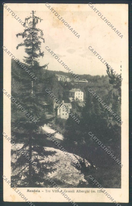 Trento Passo della Mendola cartolina ZB0933 – fronte