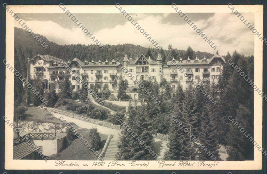 Trento Passo della Mendola cartolina ZB0949 – fronte