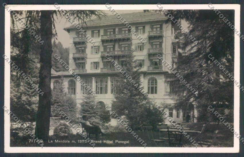 Trento Passo della Mendola Foto cartolina ZB0986 – fronte