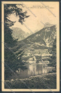 Trento Molveno MACCHIA cartolina ZB1029 – fronte