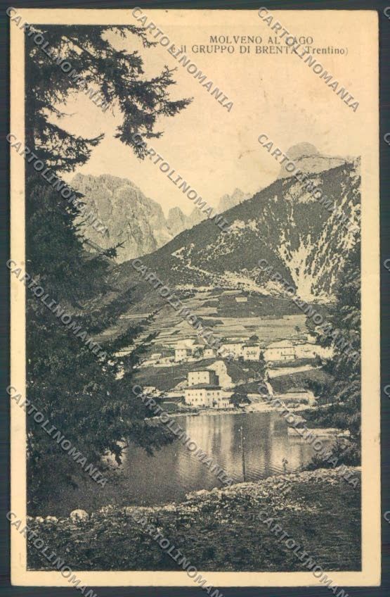 Trento Molveno MACCHIA cartolina ZB1029 – fronte
