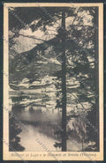Trento Molveno cartolina ZB1036 – fronte