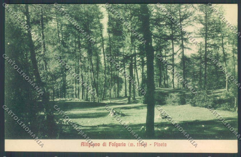 Trento Folgaria cartolina ZB1049 – fronte