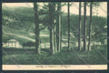 Trento Folgaria cartolina ZB1052 – fronte
