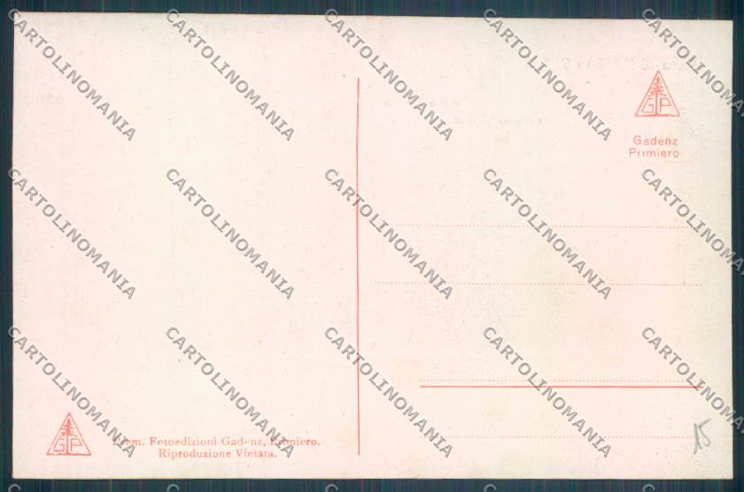 Trento Fiera di Primiero cartolina ZB1159 – retro