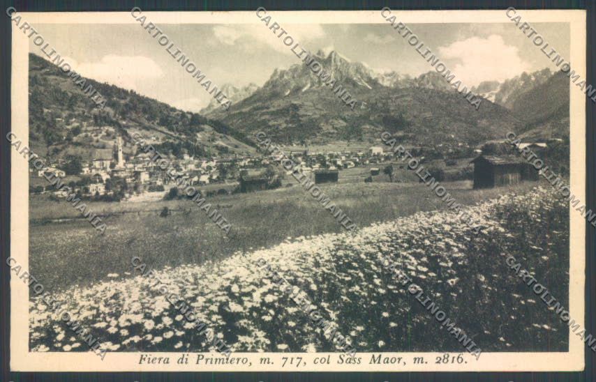 Trento Fiera di Primiero cartolina ZB1161 – fronte