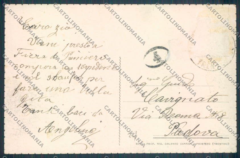 Trento Fiera di Primiero PIEGHINE cartolina ZB1165 – retro