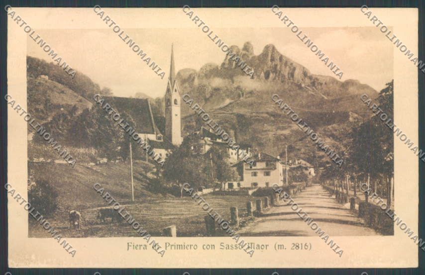 Trento Fiera di Primiero cartolina ZB1174 – fronte