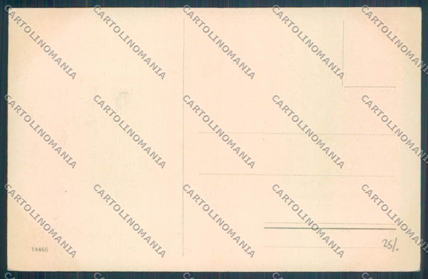 Trento Fiera di Primiero cartolina ZB1174 – retro