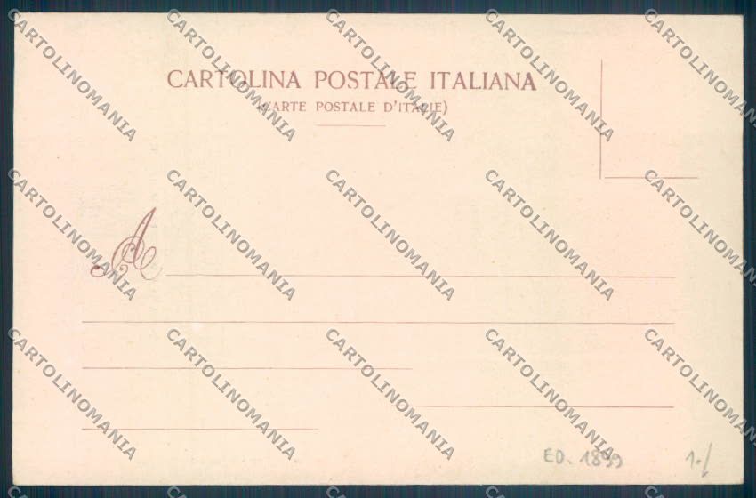 Novara Città cartolina ZB1228 – retro