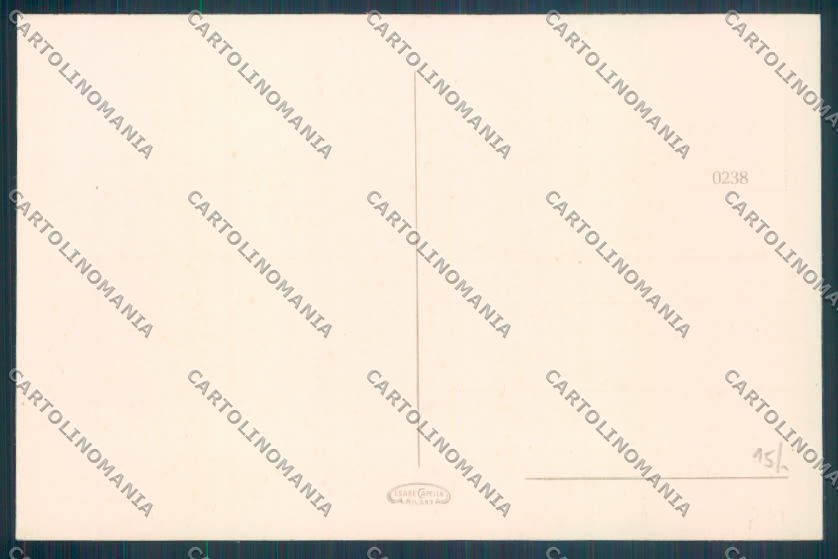 Novara Arona Barca cartolina ZB1388 – retro