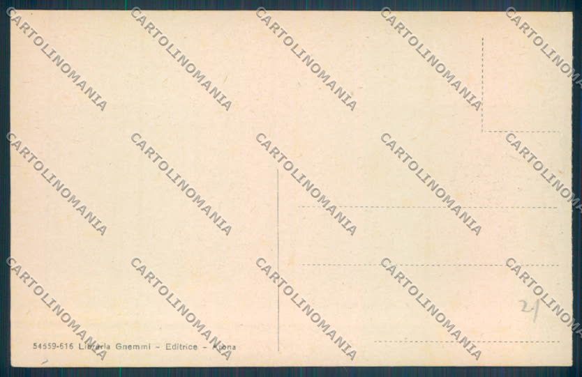 Novara Arona cartolina ZB1424 – retro