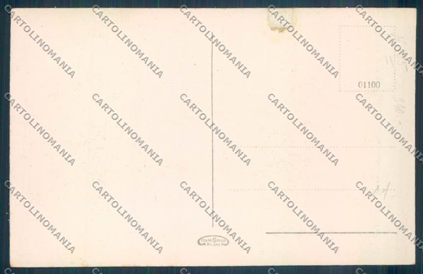 Novara Arona San Carlo cartolina ZB1497 – retro
