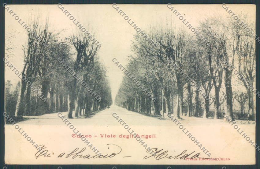 Cuneo Città cartolina ZB1901 – fronte