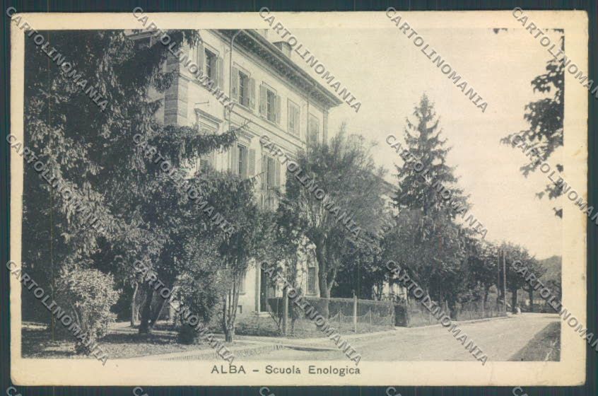 Cuneo Alba PIEGHINE cartolina ZB2003 – fronte