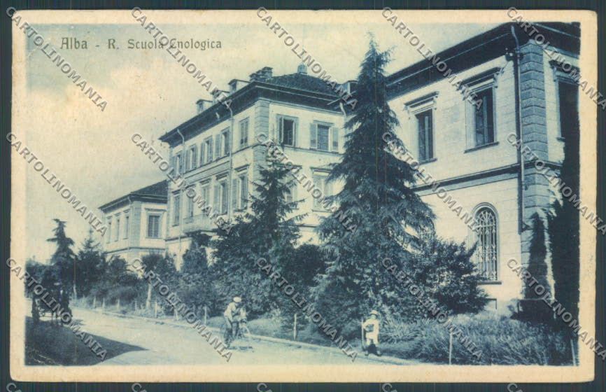 Cuneo Alba Scuola PIEGHINE cartolina ZB2021 – fronte