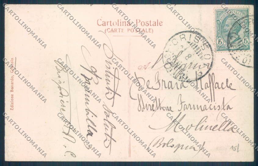 Cuneo Crissolo cartolina ZB2137 – retro