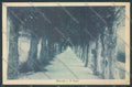 Cuneo Murello cartolina ZB2236 – fronte