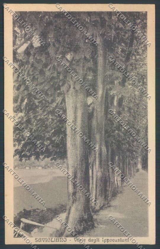 Cuneo Savigliano cartolina ZB2365 – fronte