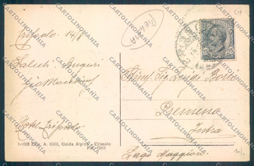 Cuneo Crissolo PIEGATA cartolina ZB2438 – retro