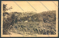Cuneo La Morra cartolina ZB2460 – fronte