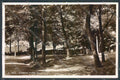 Cuneo Bra Foto cartolina ZB2594 – fronte