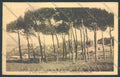 Roma San Vito Romano ABRASA cartolina ZB3024 – fronte