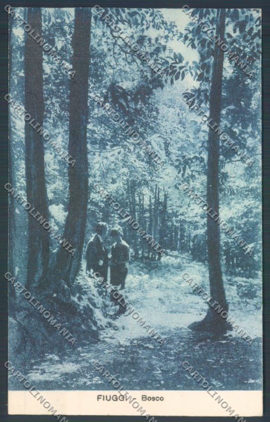 Frosinone Fiuggi cartolina ZB3257 – fronte