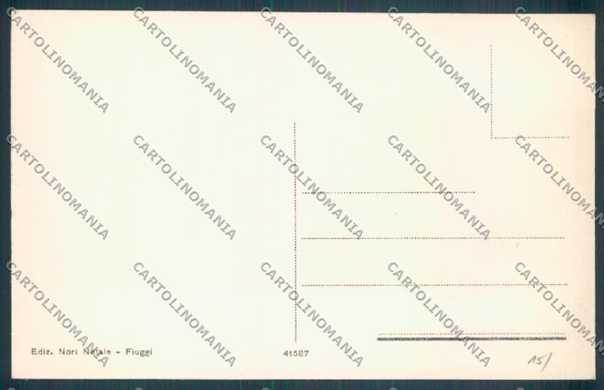 Frosinone Fiuggi cartolina ZB3257 – retro