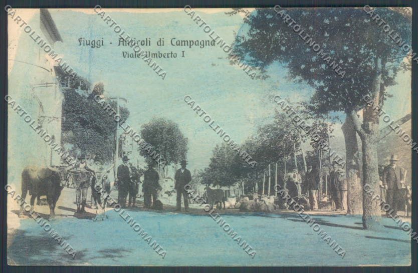 Frosinone Fiuggi Anticoli di Campagna COLORATA cartolina ZB3262 – fronte