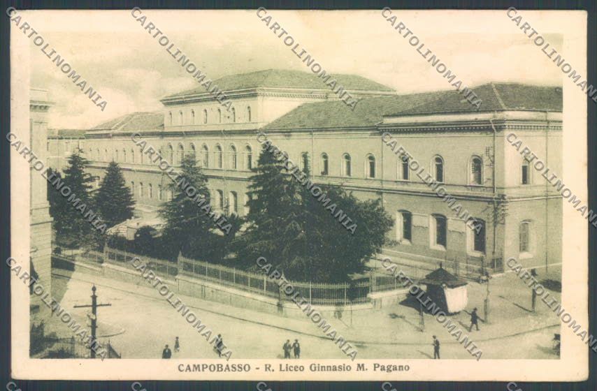 Campobasso Città Scuola cartolina ZB3295 – fronte
