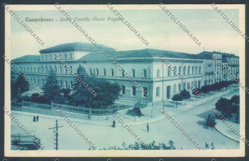 Campobasso Città Scuola cartolina ZB3296 – fronte