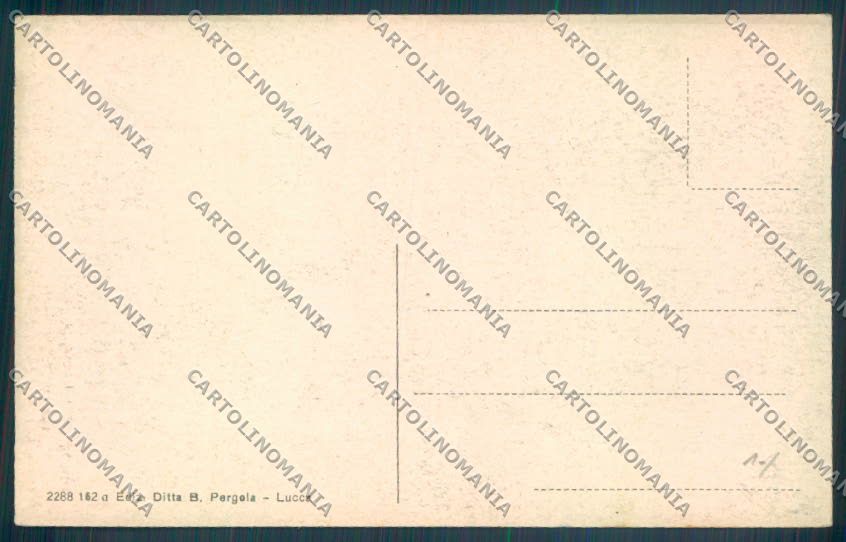 Lucca Città cartolina ZB3558 – retro