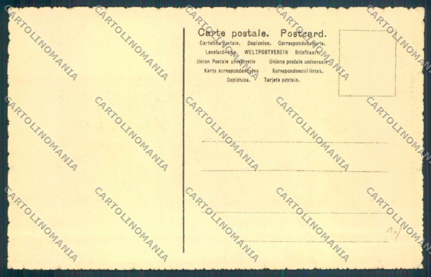 Lucca Città cartolina ZB3563 – retro