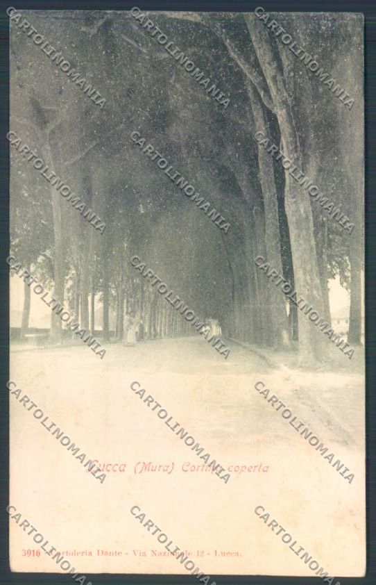Lucca Città cartolina ZB3583 – fronte