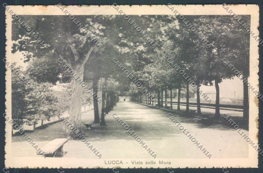 Lucca Città cartolina ZB3586 – fronte