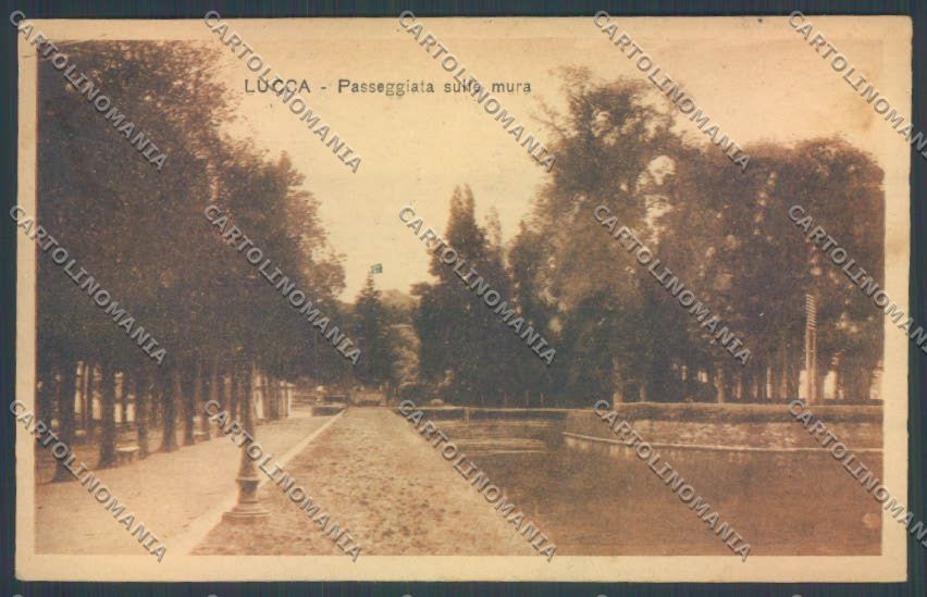 Lucca Città cartolina ZB3596 – fronte